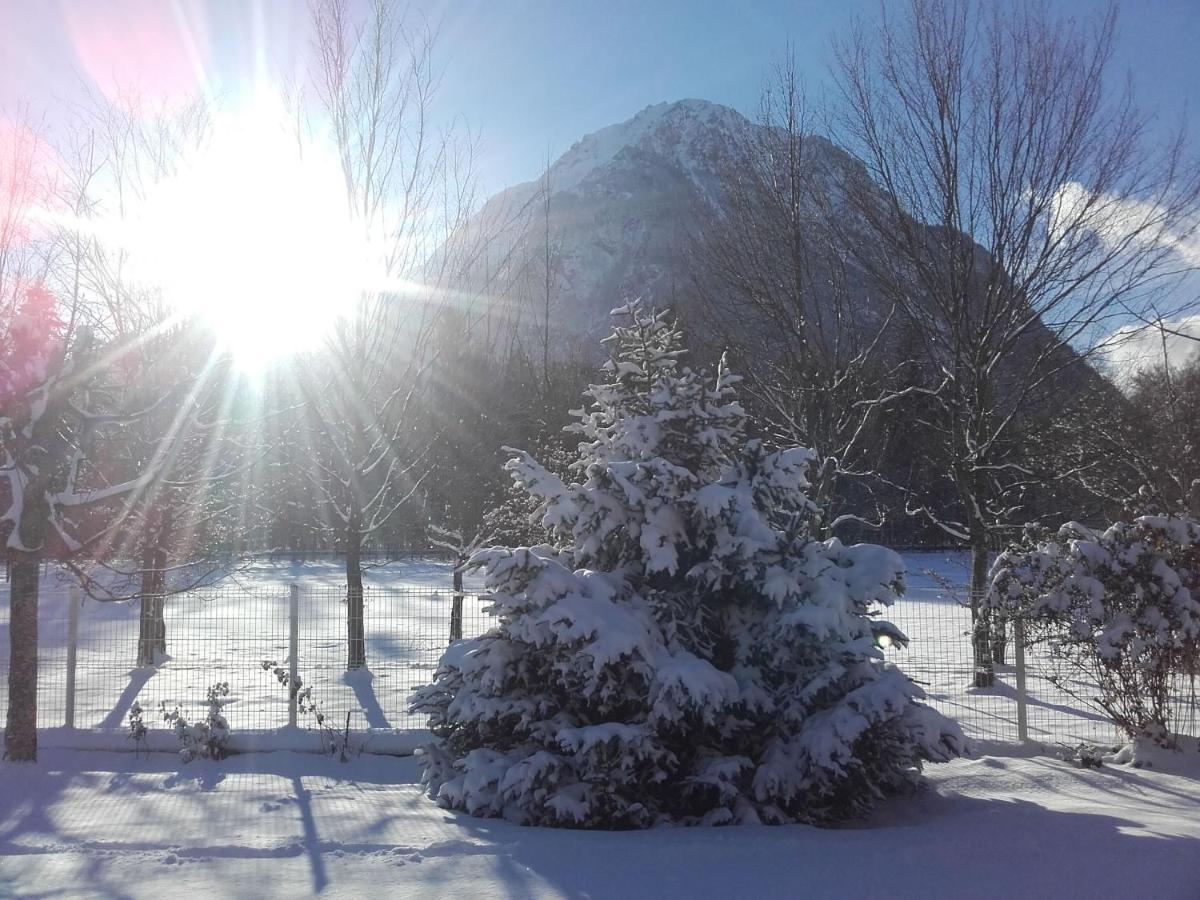 אלמונט Chalet De L'Oisans מראה חיצוני תמונה